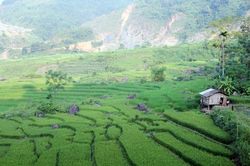 Bình yên rẻo cao Hợp Thành