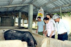Hàm Yên giải quyết việc làm gắn với giảm nghèo
