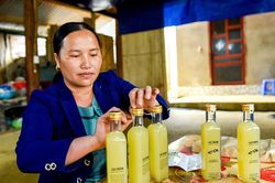 Cao chanh - hướng đi mới cho người dân Khau Tinh