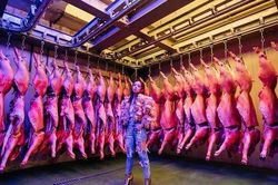 Nữ ca sĩ gây tranh cãi vì quay MV trong lò mổ heo