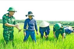 Dấu ấn Binh đoàn 15 trong thế trận quốc phòng ở vùng biên giới Bắc Tây Nguyên