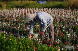 Để cho doanh nghiệp chúng tôi phát triển