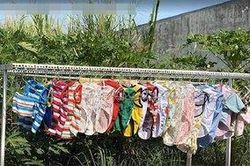 Nữ sinh về quê ăn Tết bị hàng xóm đồn 'chửa hoang trên thành phố' vì phơi nhiều quần áo chó mèo
