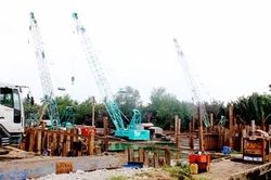 Cấp bách triển khai các giải pháp ứng phó xâm nhập mặn