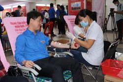 Tuổi trẻ TPHCM tham gia hiến máu cứu người