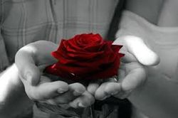 Valentine, anh không mua hoa thì tôi mua!