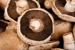 Top 5 loại thực phẩm giàu protein hơn cả thịt, nuôi dưỡng cơ thể khỏe mạnh mỗi ngày