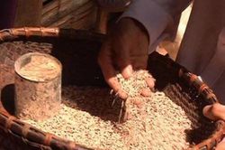 Những sát thủ thầm lặng