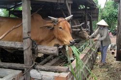 Hiểu lòng dân để giám sát, phản biện
