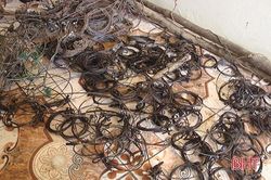 Cần làm rõ tình trạng trâu mắc bẫy trong Khu Bảo tồn thiên nhiên Kẻ Gỗ
