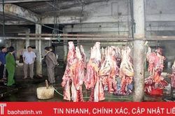 Vì sao hàng loạt lò giết mổ gia súc tập trung ở Hà Tĩnh phải 'đóng cửa'?!