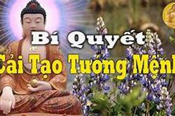 Bí quyết cải biến số mệnh từ khổ thành sướng theo lời khuyên của Phật