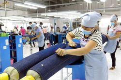 Xóa bỏ 99% dòng thuế nhập khẩu từ EU