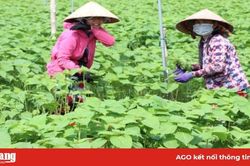Tác động tích cực từ phong trào 'Dân vận khéo'
