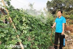 Sáng chế bình phun bằng điện ắc quy từ nhựa PVC
