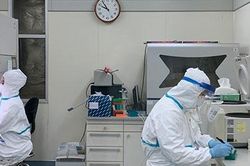 Hành trình giải mã virus Corona