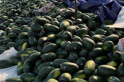 Đừng lạm dụng 'giải cứu'