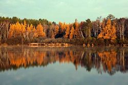 3 câu 'thần chú' dù là ai cũng nên mang theo như vật bất li thân: Đọc câu nào cũng thấy chí lý