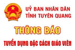 Tuyển dụng đặc cách giáo viên