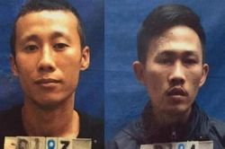 Sa lưới sau 14 vụ trộm trong các đền, chùa