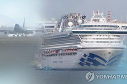 Hàn Quốc dùng chuyên cơ Tổng thống sơ tán công dân trên du thuyền Diamond Princess