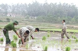Miệt mài gieo mầm thiện