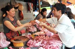 Bộ Nông nghiệp khuyến nghị doanh nghiệp thống nhất giá lợn theo hướng tích cực