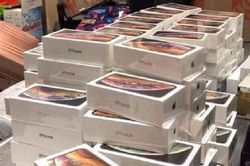 Triệt phá đường dây nhập lậu laptop và iPhone từ Mỹ về Việt Nam
