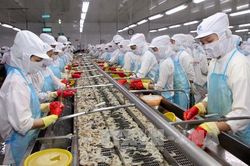 Dự báo xuất khẩu tôm sang EU đạt 800 triệu USD trong năm 2020
