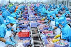 Xuất khẩu khả quan sau 1 năm thực hiện CPTPP
