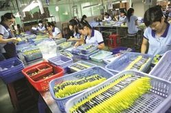 TLG tạm ứng cổ tức đợt 2