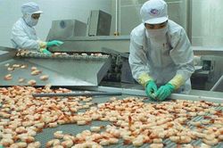Công nghiệp chế biến nông sản tạo việc làm cho 1,6 triệu lao động