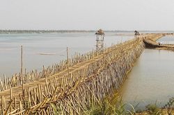 Sẽ không ai tin, đây là cây cầu tre độc nhất được bắc qua sông Mê Kông