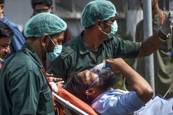 Bụi đậu nành – Thủ phạm khiến 14 người Pakistan chết bí ẩn