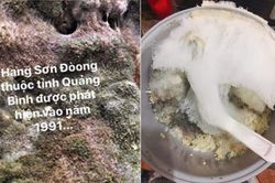 Phòng trọ bẩn xưa rồi, nồi cơm mốc meo tựa thảm thực vật mới khiến dân mạng 'cạn lời'
