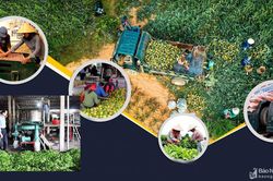 Thủ tướng Chính phủ: Khuyến khích doanh nghiệp đầu tư để tạo giá trị mới cho nông sản