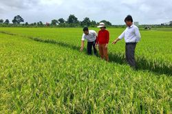 Mặt trận và các đoàn thể huyện Ia Pa đổi mới phương thức hoạt động