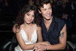 Công khai bạn gái, Shawn Mendes vẫn bị nghi ngờ giới tính