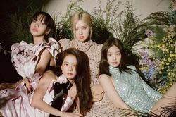 Fan phẫn nộ với dự án mới của Blackpink mà YG đưa ra