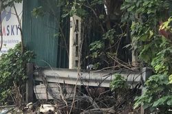 Kinh hãi kim tiêm chất đống, đâm thủng gốc cây quanh cổng bệnh viện Bạch Mai