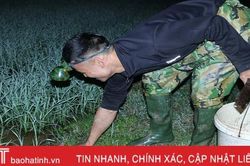 Trắng đêm 'săn' cua đồng