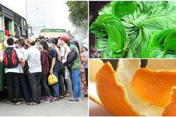 Say xe đến mấy cứ học theo 5 chiêu nhỏ siêu hiệu quả này thì đi đâu cũng chẳng sợ