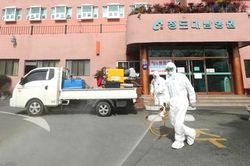 Dịch Covid-19: 2 đường dây nóng hỗ trợ công dân Việt Nam tại Hàn Quốc