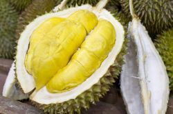 Mẹo phân biệt sầu riêng chín tự nhiên và chín bằng hóa chất