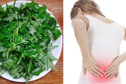 Cách chữa đau lưng bằng rau ngải cứu
