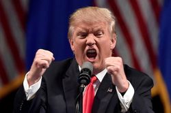 Phản ứng 'cực gắt' của Tổng thống Trump