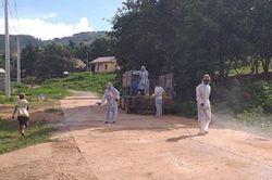 Kon Tum: Chủ động phòng chống dịch cúm A/H5N1 trên gia cầm