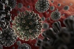 WHO giải thích lý do đặt tên mới cho cho virus gây dịch Covid-19
