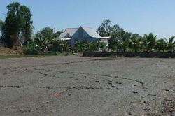 Vướng vào dây điện khi đi soi nhái, cha tử vong, con bị thương