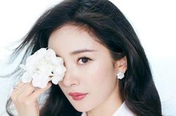 Tử vi ngày 24/2/2020 của 12 con giáp: Tuổi Hợi tình cảm hài hòa, sự nghiệp tăng tiến